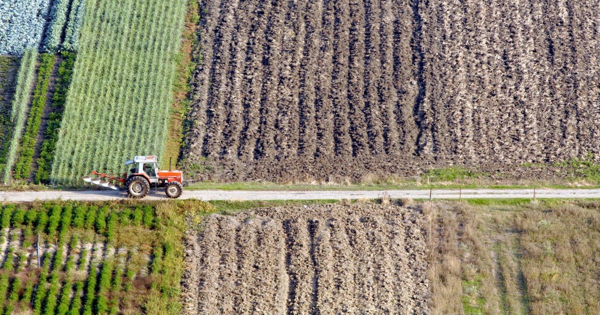 Cum a fraudat Grecia Uniunea Europeană. Zeci de fermieri au câștigat milioane de euro pentru terenuri pe care nu le dețineau și nu le lucrau