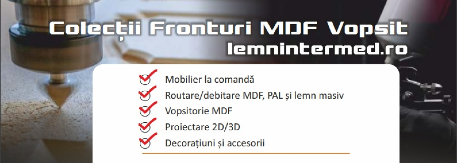 Fronturi MDF Vopsit
