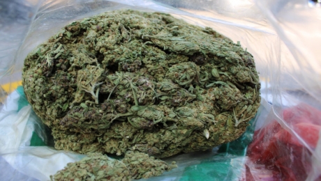 Traficant de droguri reținut la Arad. A încercat să vândă peste 7 kilograme de canabis