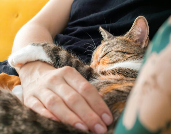 Virusul prezent în România, foarte periculos: ”Se transmite la vacă, la oaie, la pisică și la om și este mortal”