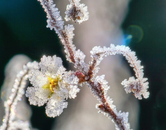 Fenomenul neobișnuit care a provocat alunecarea vortexului polar spre Europa. Vremea se va răci brusc, deși suntem în aprilie