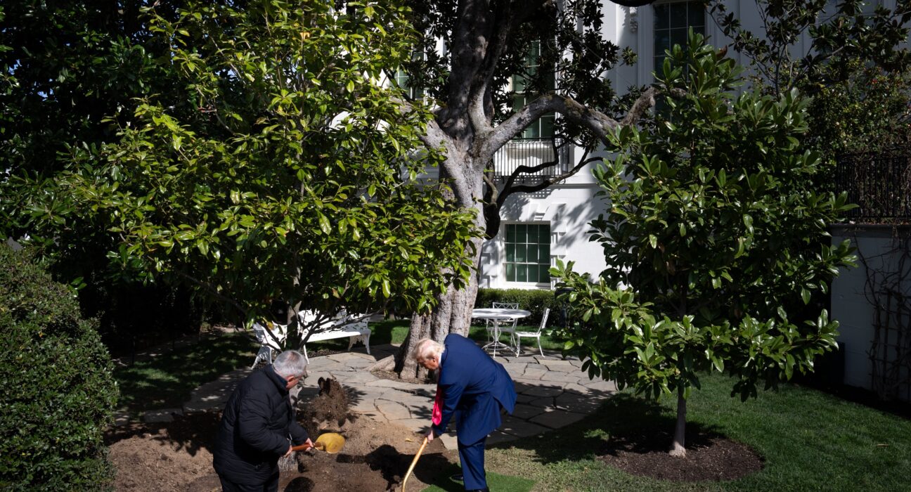 VIDEO „Înarmat” cu o lopată din aur, Trump a plantat o „MAGAnolia” în grădinile Casei Albe