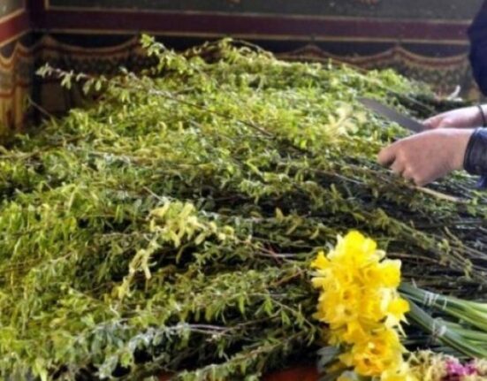 Sărbătoarea Floriilor 2025: Cele mai frumoase urări calde și amuzante pentru toate florile din viața ta