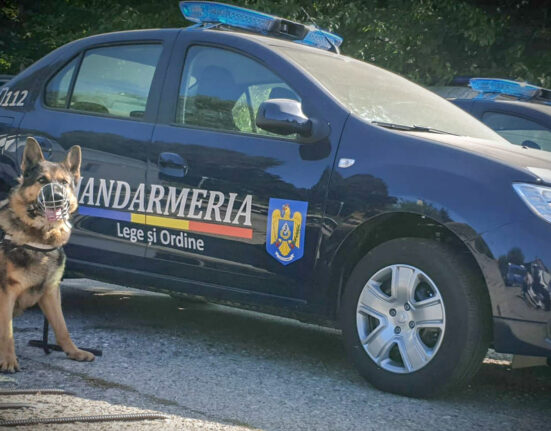 Un bărbat a provocat haos la Palatul Parlamentului: „Stegarul dac” a escaladat gardul și a primit o amendă usturătoare