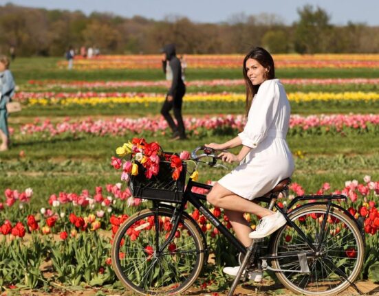 4 zodii care s-au vindecat și sunt gata să evolueze