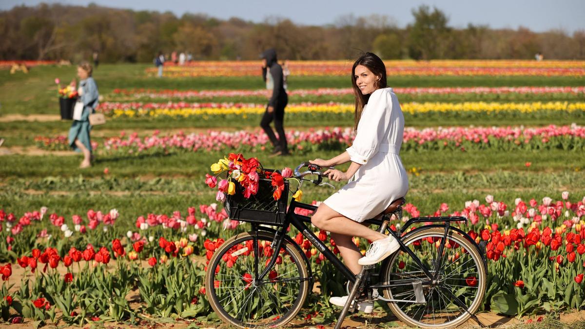 4 zodii care s-au vindecat și sunt gata să evolueze