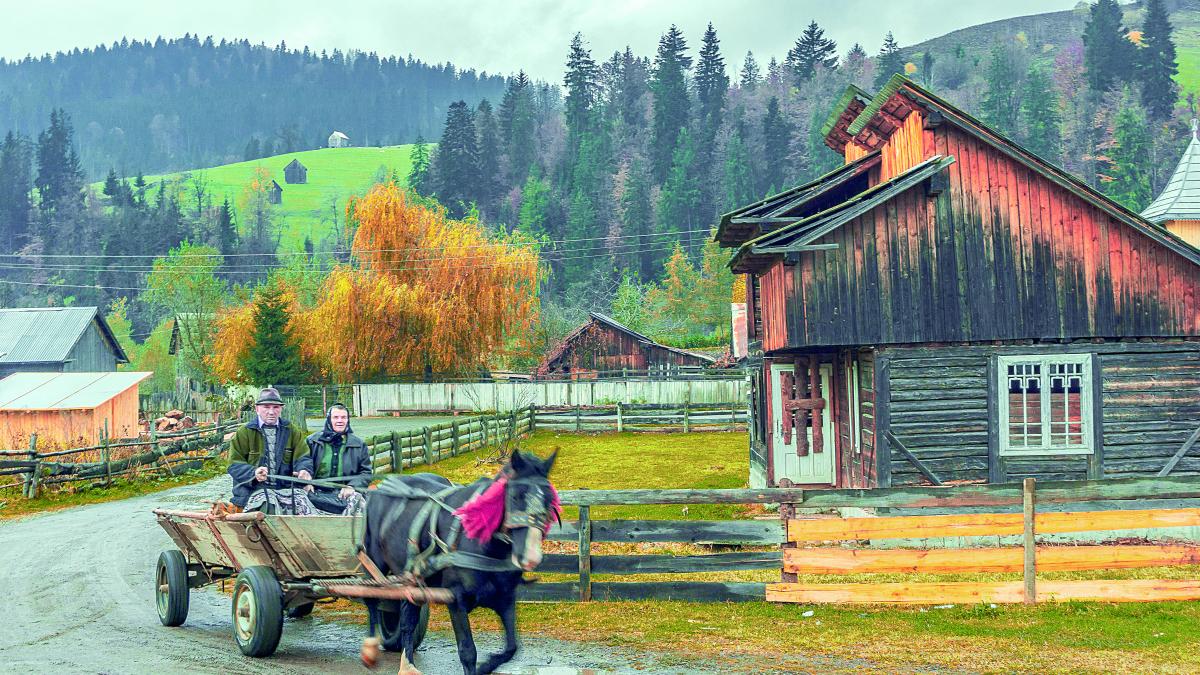 Puterea tăcută a românului: „Nu cerem milă. Întrebăm ce e de făcut”