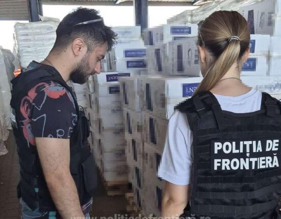 Captură de peste 8 milioane de lei. Ce au descoperit polițiștii într-un container care trebuia să conțină scobitori