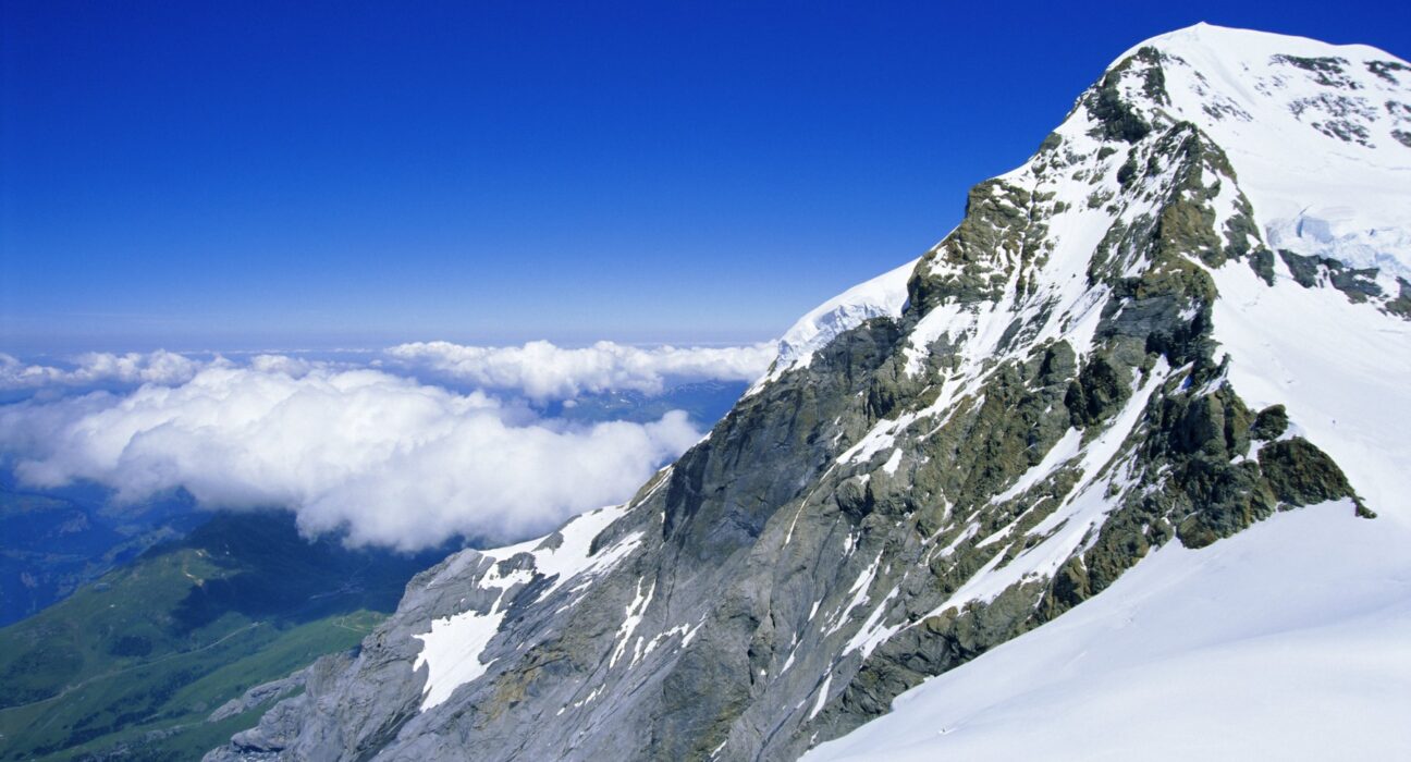 Un chihuahua a devenit erou în Alpi. Și-a salvat stăpânul căzut într-o prăpastie de 8 metri