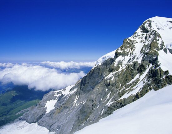 Un chihuahua a devenit erou în Alpi. Și-a salvat stăpânul căzut într-o prăpastie de 8 metri