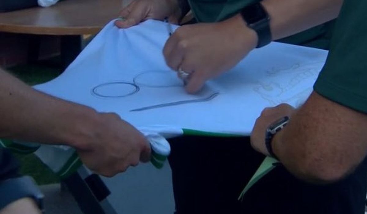 În Liga Campionilor, ca la județeană » Scene incredibile la meciul care decide adversara lui FCSB în turul următor