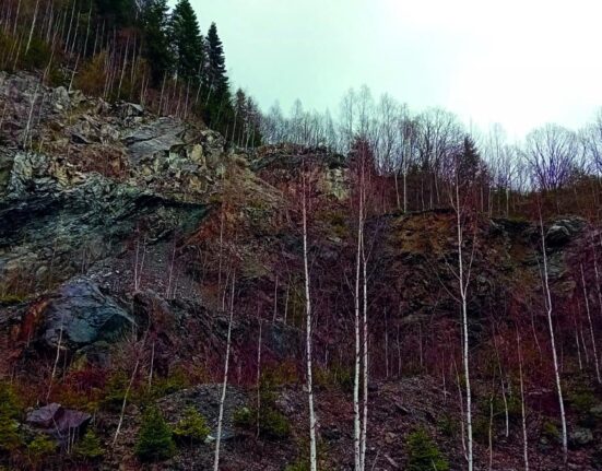 Salrom, în război deschis cu ministrul Economiei, înainte de listarea la bursă a companiei