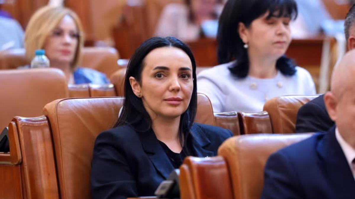Deputații PSD invită Guvernul la colaborare pentru legea împotriva hrănirii urșilor