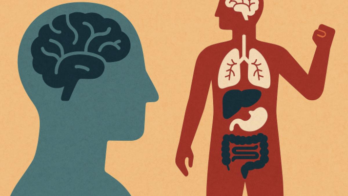 De ce corpul tău este mai inteligent decât creierul: Adevărul din spatele intuiției