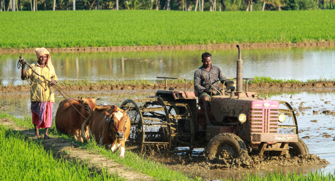 Vremea extremă afectează sănătatea mintală: ce spun femeile expuse la secetă, valuri de căldură și inundații frecvente