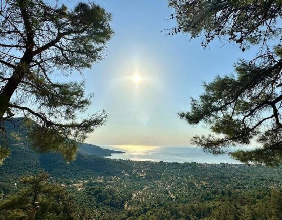 Cât costă o vacanță completă în Thassos pentru o familie cu copil și cățel, plus recomandări testate. Insula de smarald fără secrete