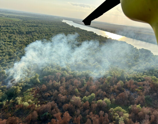 Incendiu de vegetație la Chilia Veche. Elicopterul Black Hawk, trimis să intervină