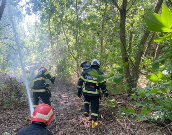 Pompierii luptă cu 16 incendii majore în șase județe: peste 1.000 de hectare afectate