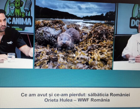Sălbăticia pierdută a României. Orieta Hulea, directoarea WWF-România, la DC Anima