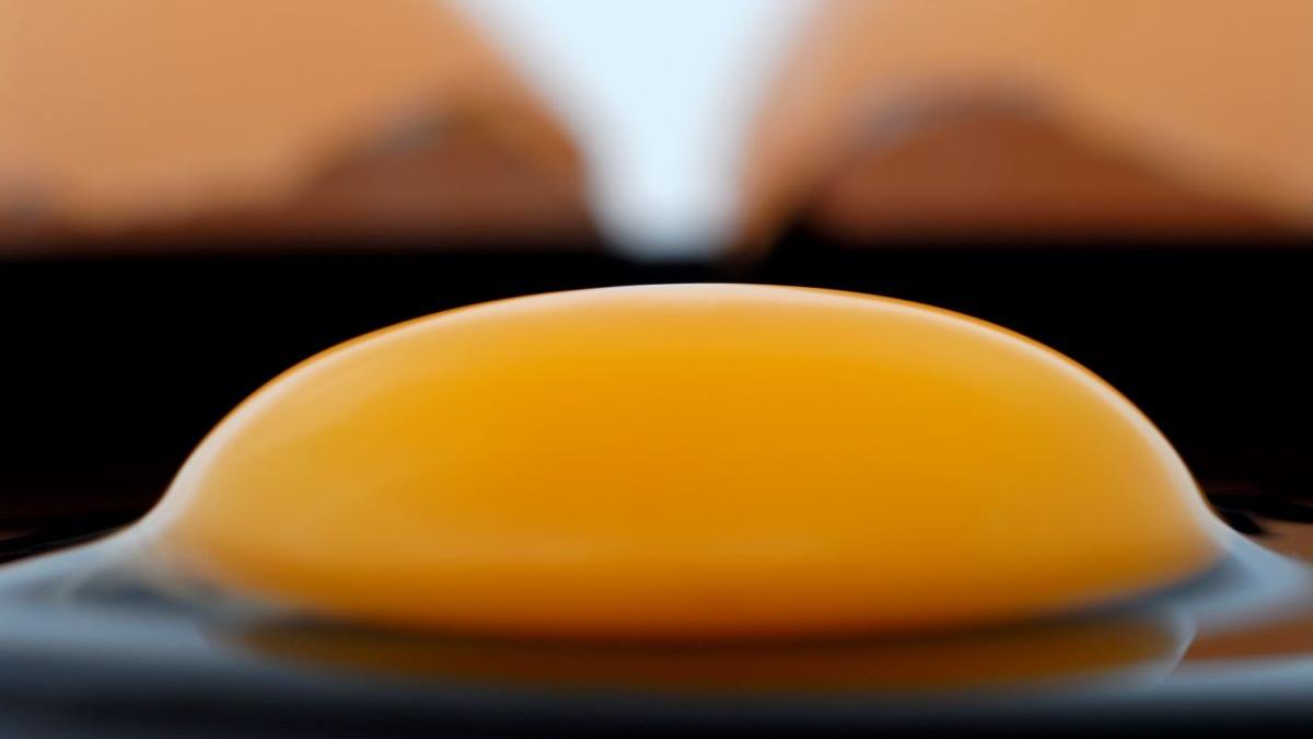Ce se întâmplă cu organismul tău dacă mănânci zilnic ouă. Beneficii, riscuri și recomandări