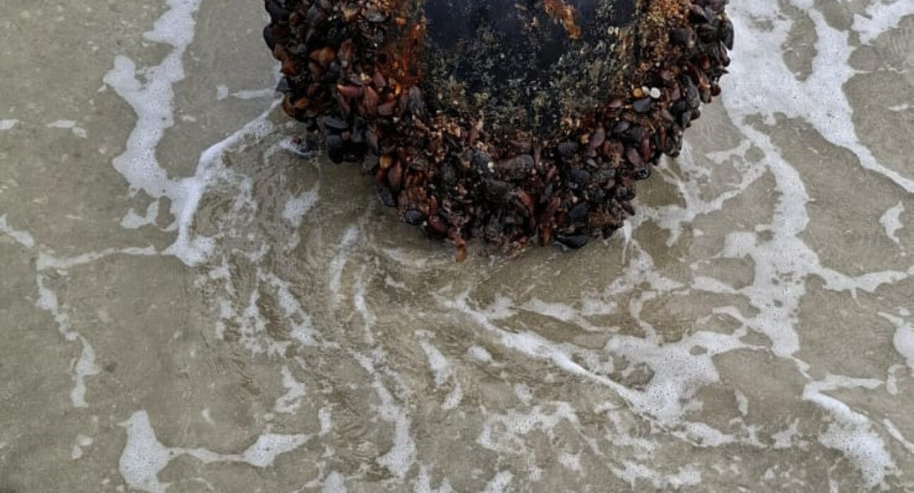 Mina marină descoperită la Vadu a fost neutralizată