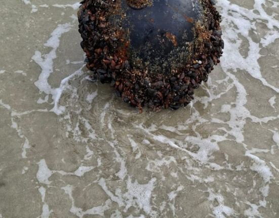 Mina marină descoperită la Vadu a fost neutralizată