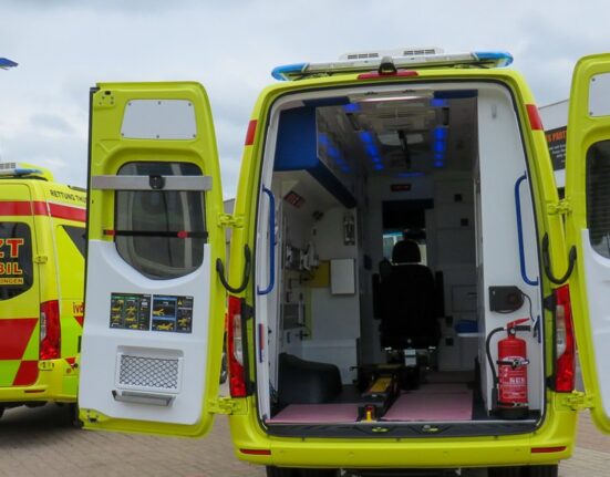 Conspirații și tensiuni în Germania, după ce șase candidați AfD au murit înaintea alegerilor locale din țară