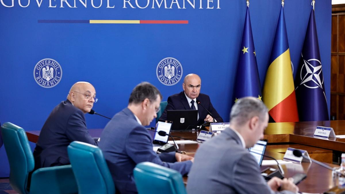 Guvernul oferă subvenții de 2.250 lei/lună pentru angajarea victimelor violenței domestice