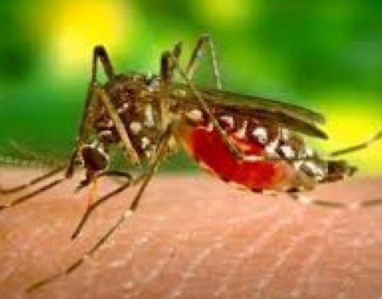 18 români infectați cu West Nile în această vară, majoritatea din București