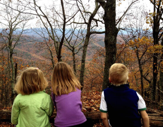 „Copiii cu dublă identitate” din diaspora. Luiza Dinică Diculescu: „Se rușinează să vorbească limba română pentru că `cineva` s-a străduit foarte mult să își critice țara” / VIDEO