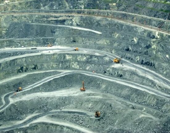 Vladimir Putin a dat termen guvernului să prezinte un plan de exploatare a metalelor rare până în noiembrie