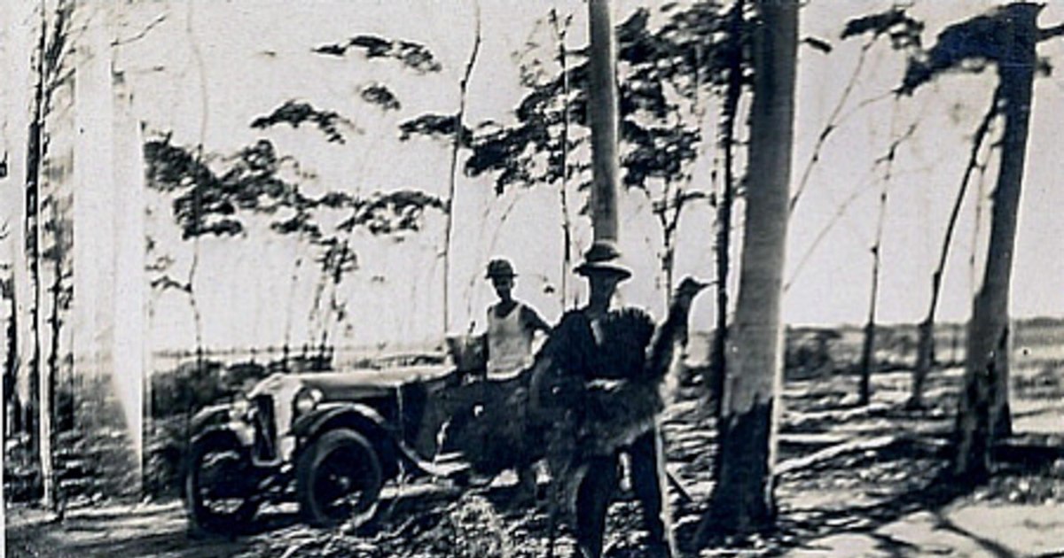 Cele mai bizare și penibile războaie din istoria umanității. Când armatele au fost învinse de păsări și găleți