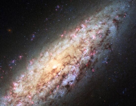 Observatorul LIGO confirmă pentru prima dată teoria lui Stephen Hawking privind găurile negre