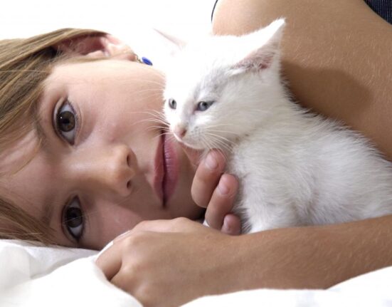 Legătura subtilă cu pisicile: Hormonul care ne ajută să reducem stresul