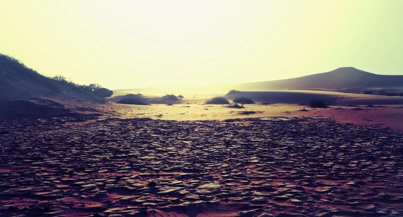 Seceta a crescut preţul terenurilor agricole irigabile sau compacte