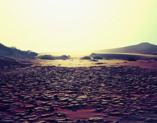 Seceta a crescut preţul terenurilor agricole irigabile sau compacte