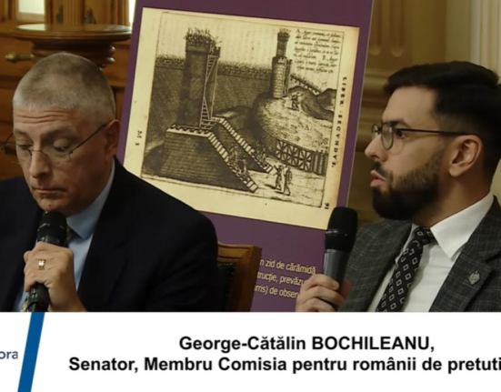 Limba română, firul subțire care mai leagă copiii din diaspora de țara natală