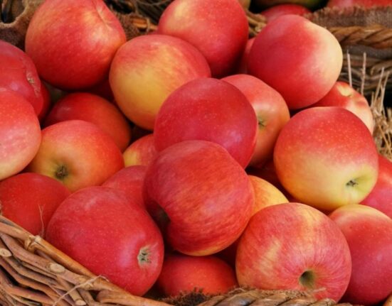 Săraca țară bogată! Livezile din România, pe cale de dispariție. Cum am ajuns să importăm mere din țări aflate la mii de kilometri