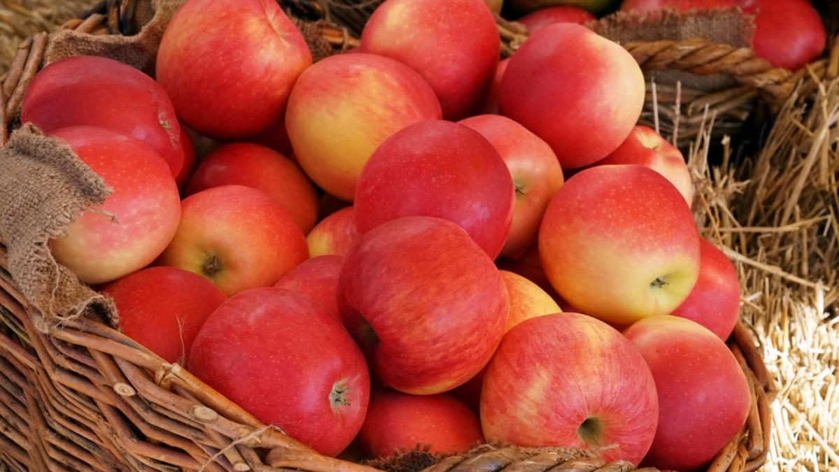 Săraca țară bogată! Livezile din România, pe cale de dispariție. Cum am ajuns să importăm mere din țări aflate la mii de kilometri