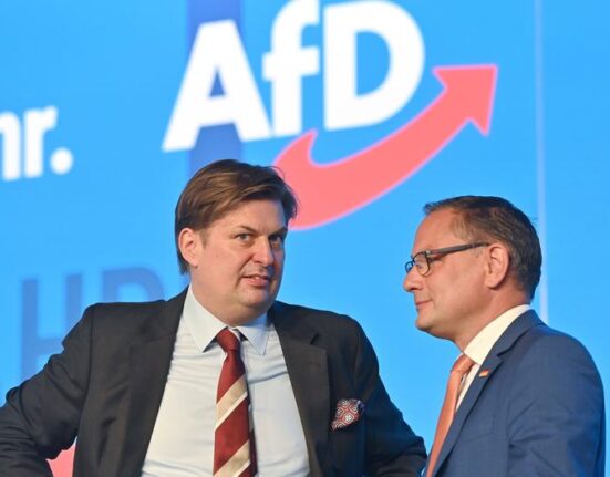 Fost asistent al unui lider AfD, condamnat la aproape cinci ani de închisoare pentru spionaj în favoarea Chinei. A colectat documente din Parlamentul European