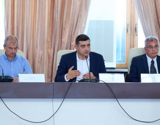 AUR a convocat Congresul Național: Se restabilește strategia partidului