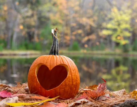 Horoscop octombrie 2025 pentru Berbec, Taur, Gemeni, Rac, Leu și Fecioară