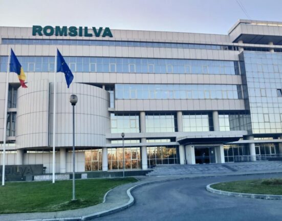 Romsilva va oferi populației 2 milioane metri-cubi de lemn pentru foc în 2025