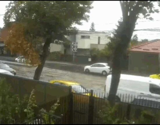 Un copac a căzut peste o mașină în mers, în Capitală. Momentul, surprins de camerele de supraveghere