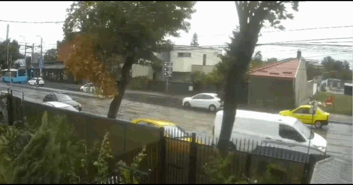 Un copac a căzut peste o mașină în mers, în Capitală. Momentul, surprins de camerele de supraveghere