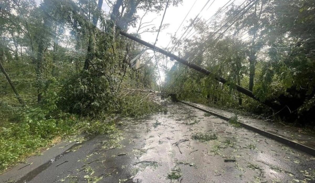 VIDEO FOTO Vremea extremă a făcut prăpăd în mai multe zone din țară, inclusiv în Capitală: ninsori, copaci doborâți de vânt, drumuri blocate și mașini avariate