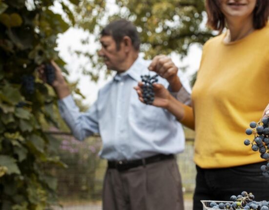 Strugurii, superalimentul românesc al toamnei. Beneficiile spectaculoase asupra sănătății