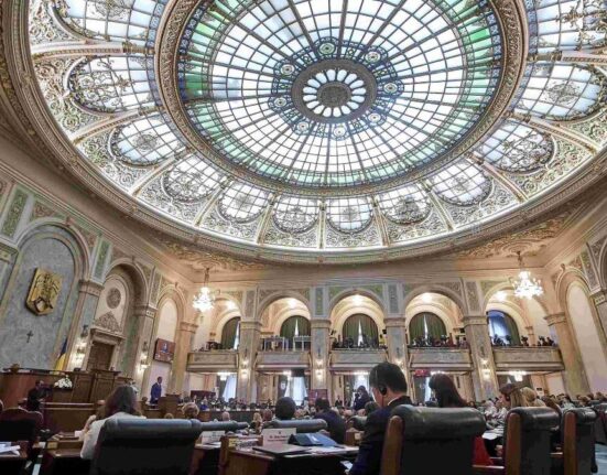 Senatul a adoptat Legea Majoratului Digital