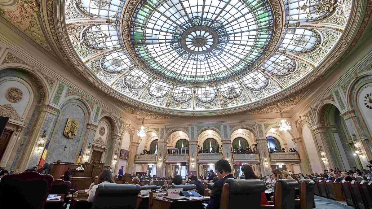 Senatul a adoptat Legea Majoratului Digital