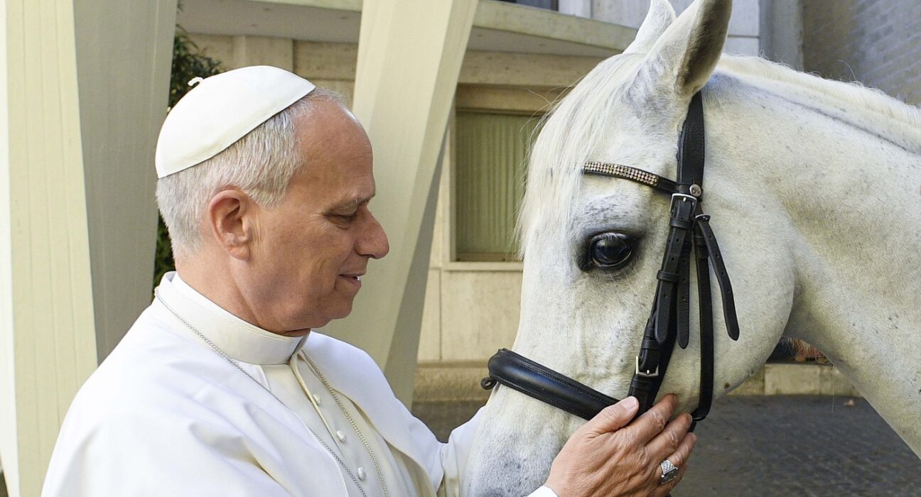 VIDEO Cadoul inedit primit de Papa Leon. „Așa mi-a venit ideea de a-i oferi un frumos pursânge arab”